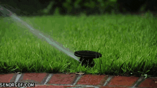 Sprinkler